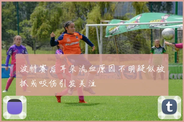 波特赛后耳朵流血原因不明疑似被抓或咬伤引发关注